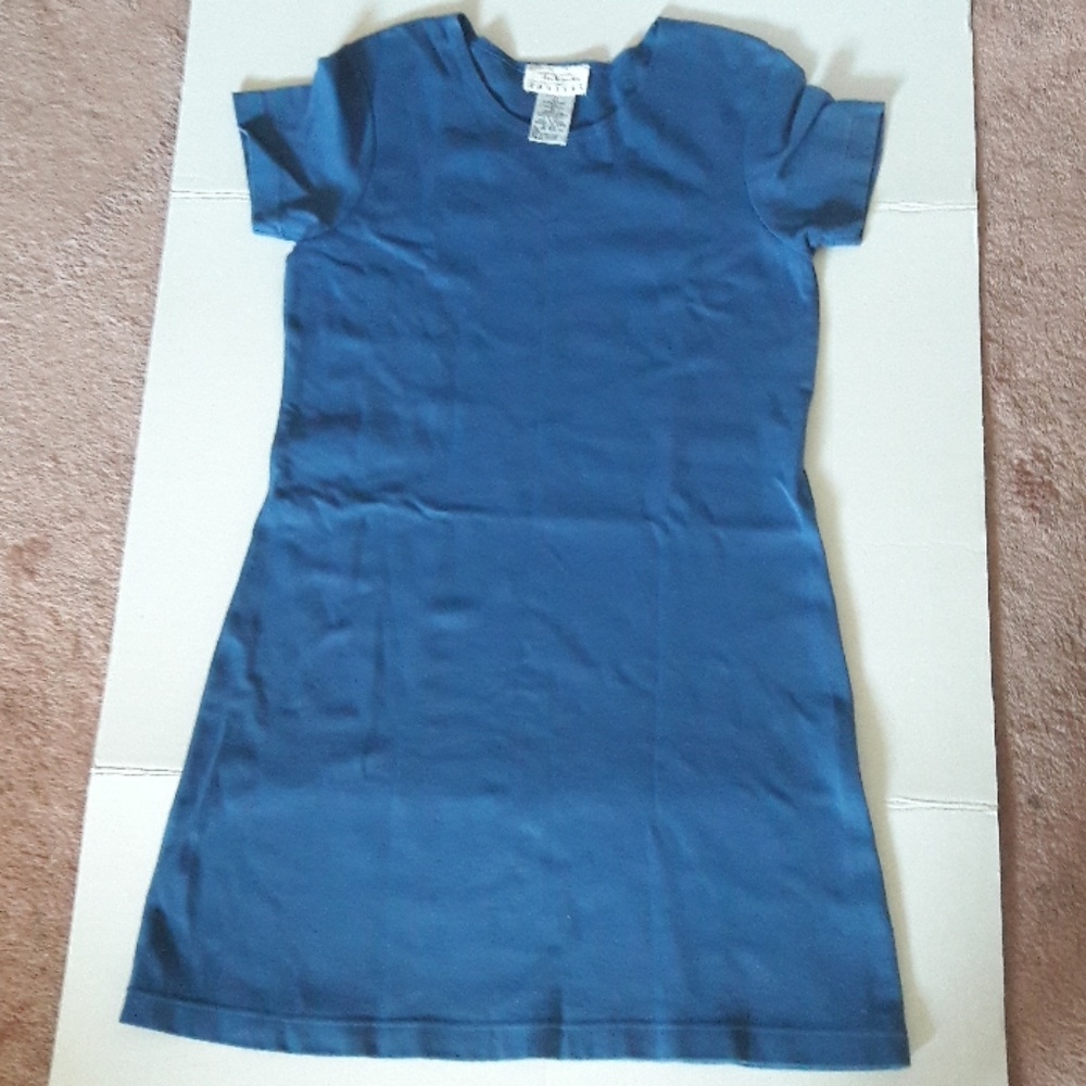 Talbots petite blue short sleeve fitted knit dress
